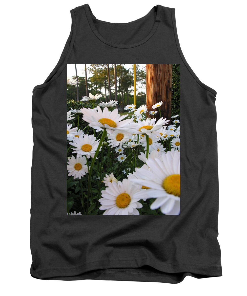  Tank Top featuring the photograph Dasiey amist by Diane Lesser