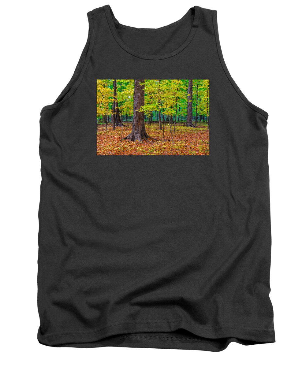 Forest Tank Top featuring the photograph Decidedly Autumn by Todd Bannor