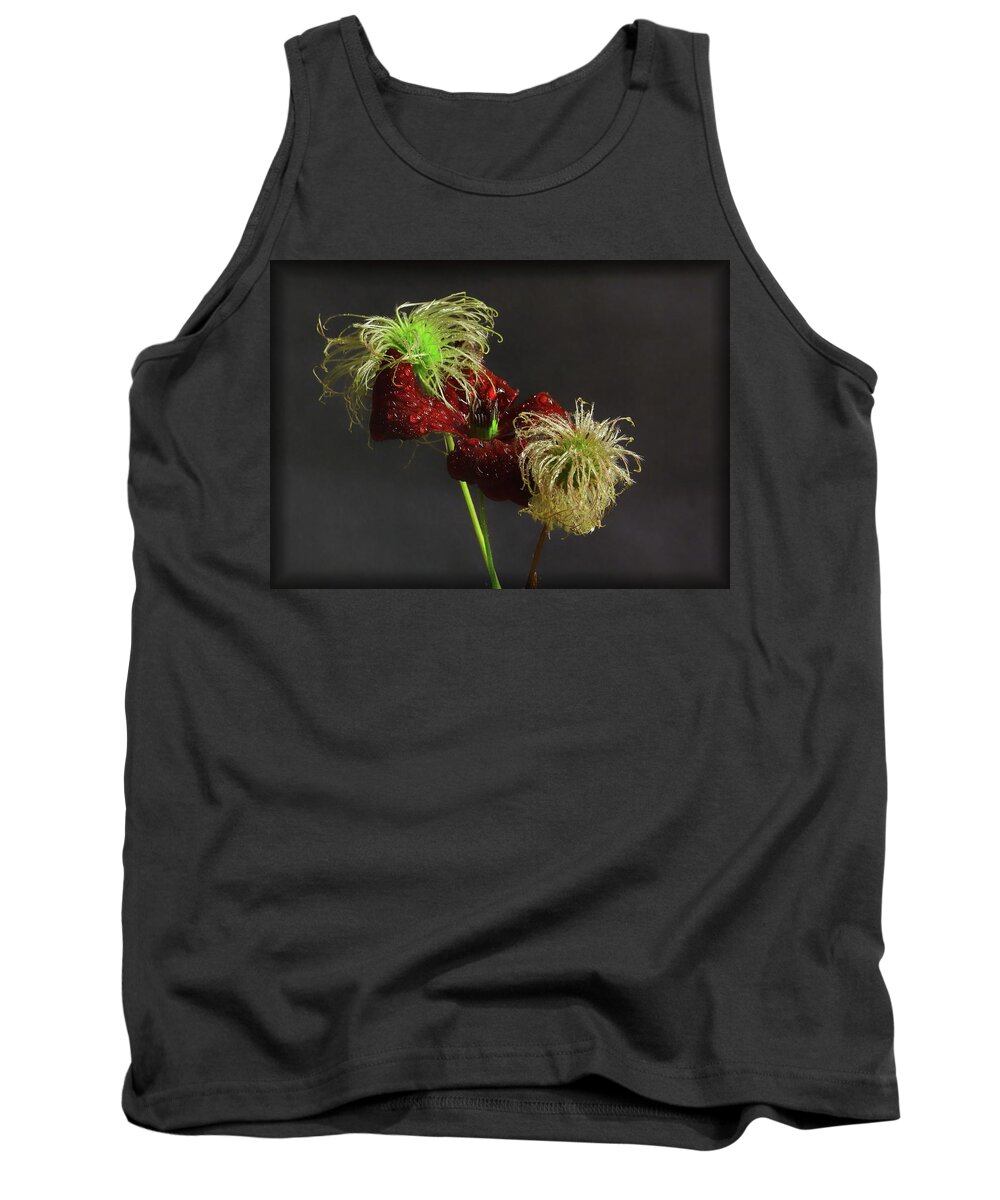 Clematis Tank Top featuring the photograph Deep Red Clematis and Seed Head by Jeff Townsend
