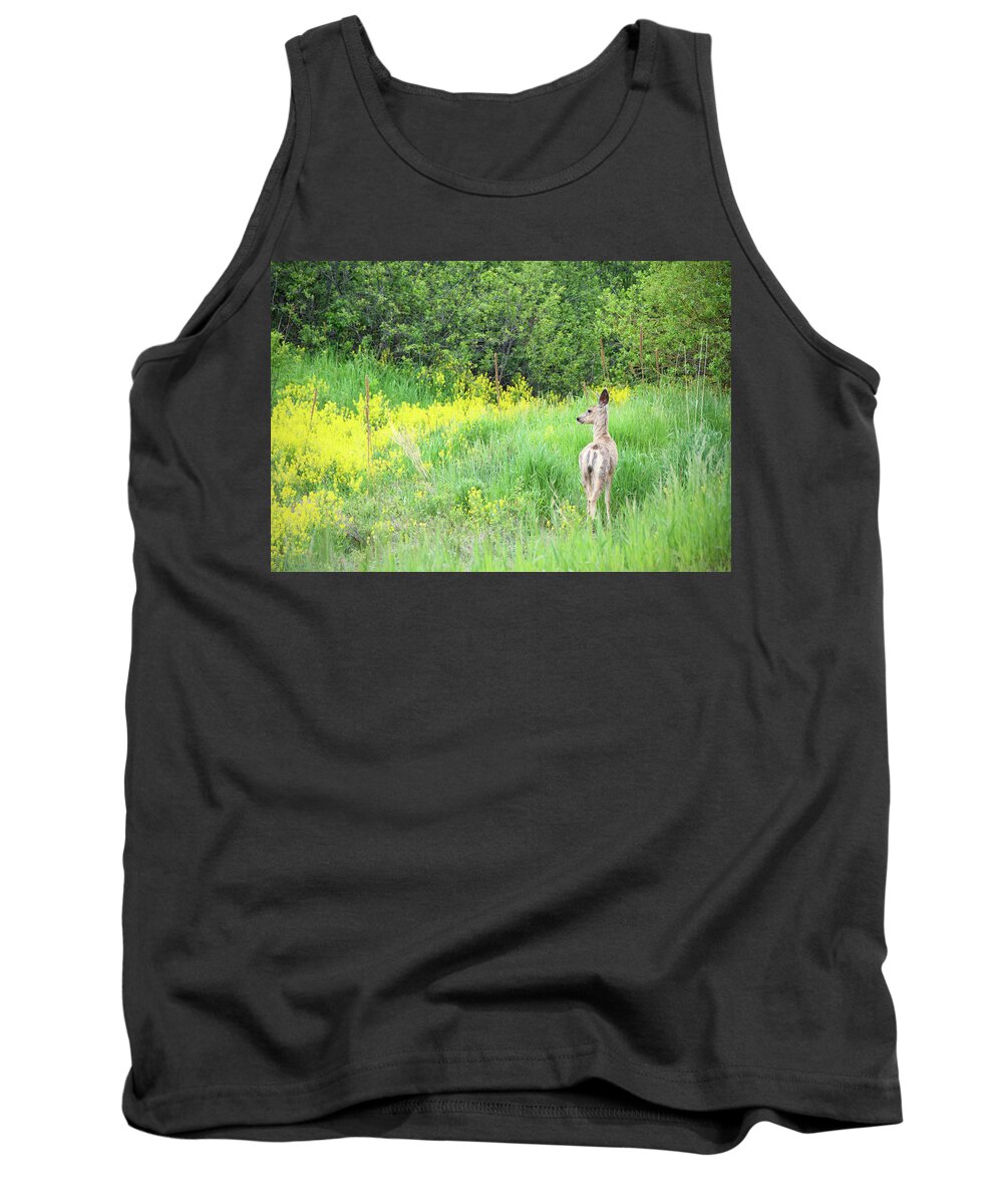 Colorado Tank Top featuring the photograph Deer in the Field by Kristin Davidson
