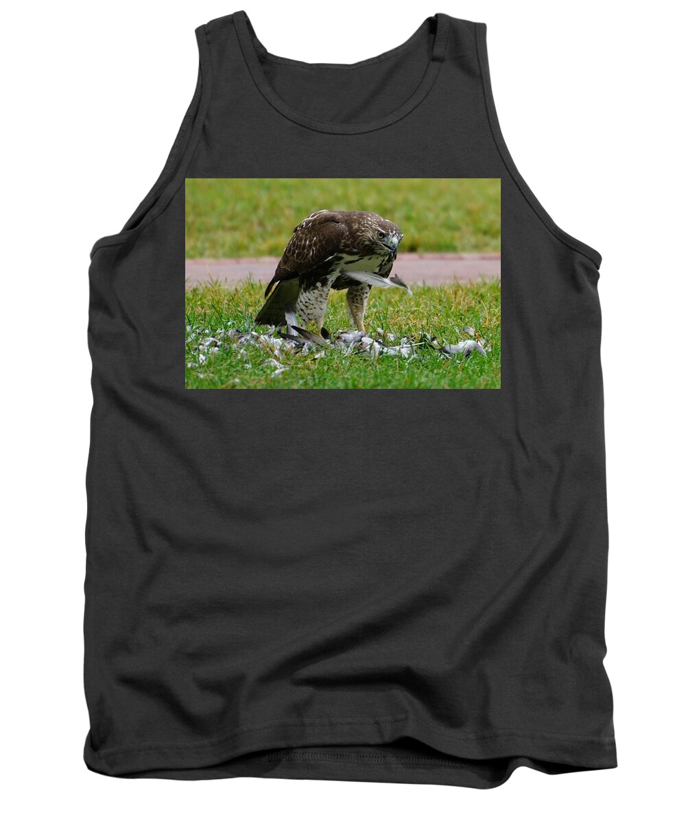Bird Of Prey Tank Top featuring the photograph Defeathering by Brooke Bowdren