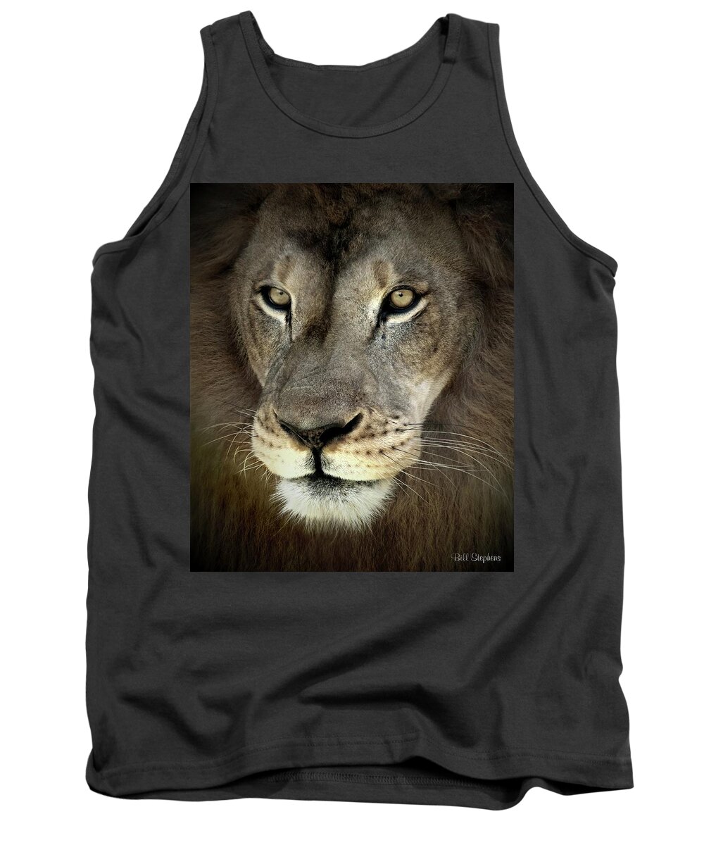 Lion Tank Top featuring the photograph Determined Lion by Bill Stephens