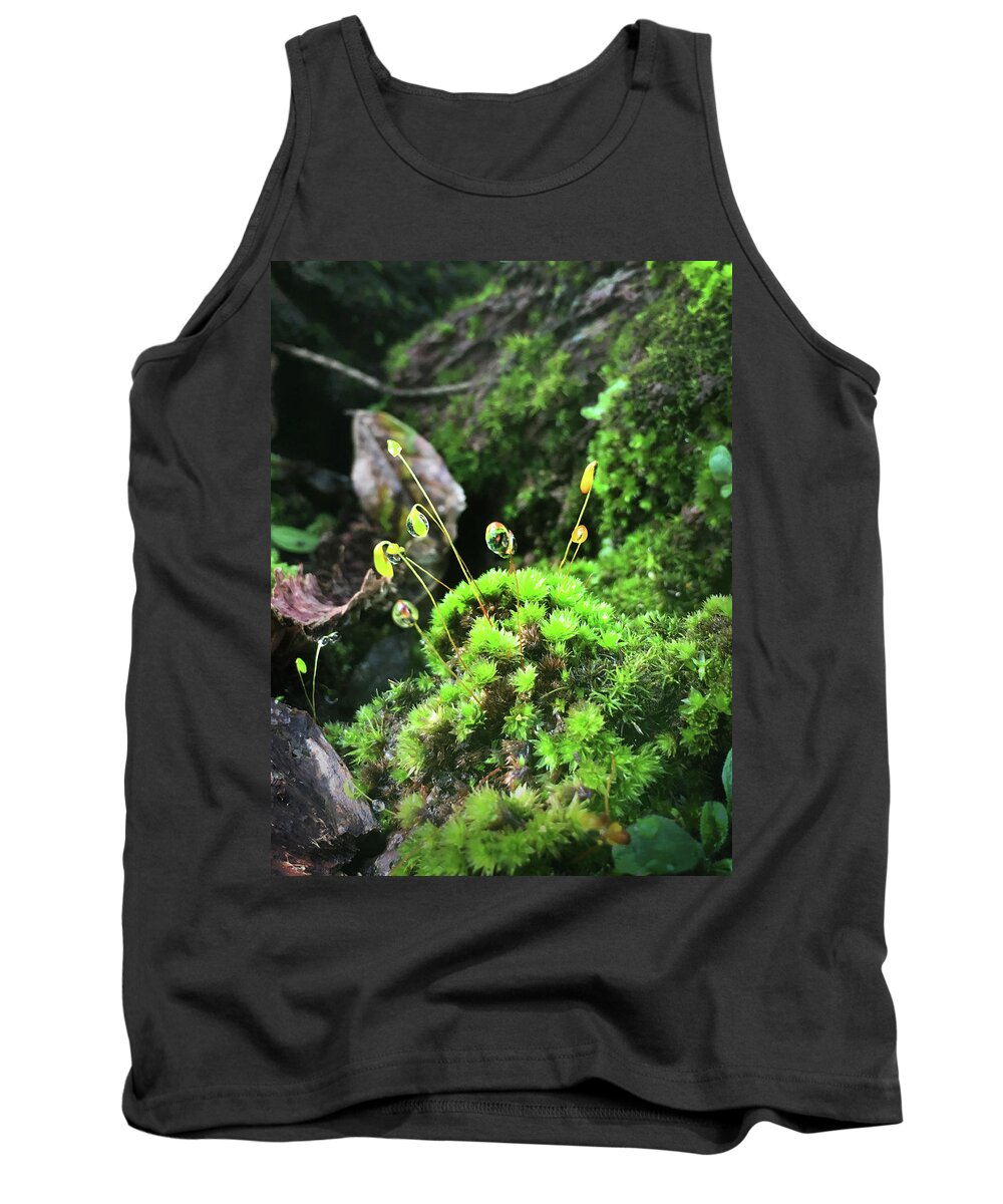 Kelly Hazel Tank Top featuring the photograph Dew Drops on Moss and Sprouts in the Sun by Kelly Hazel