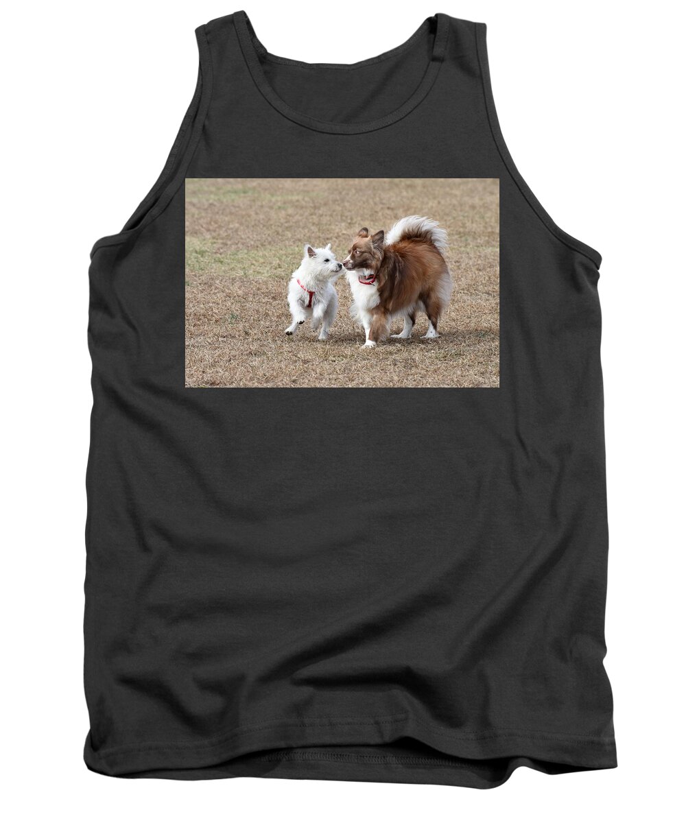 Dog Tank Top featuring the photograph Dogs 370 by Joyce StJames