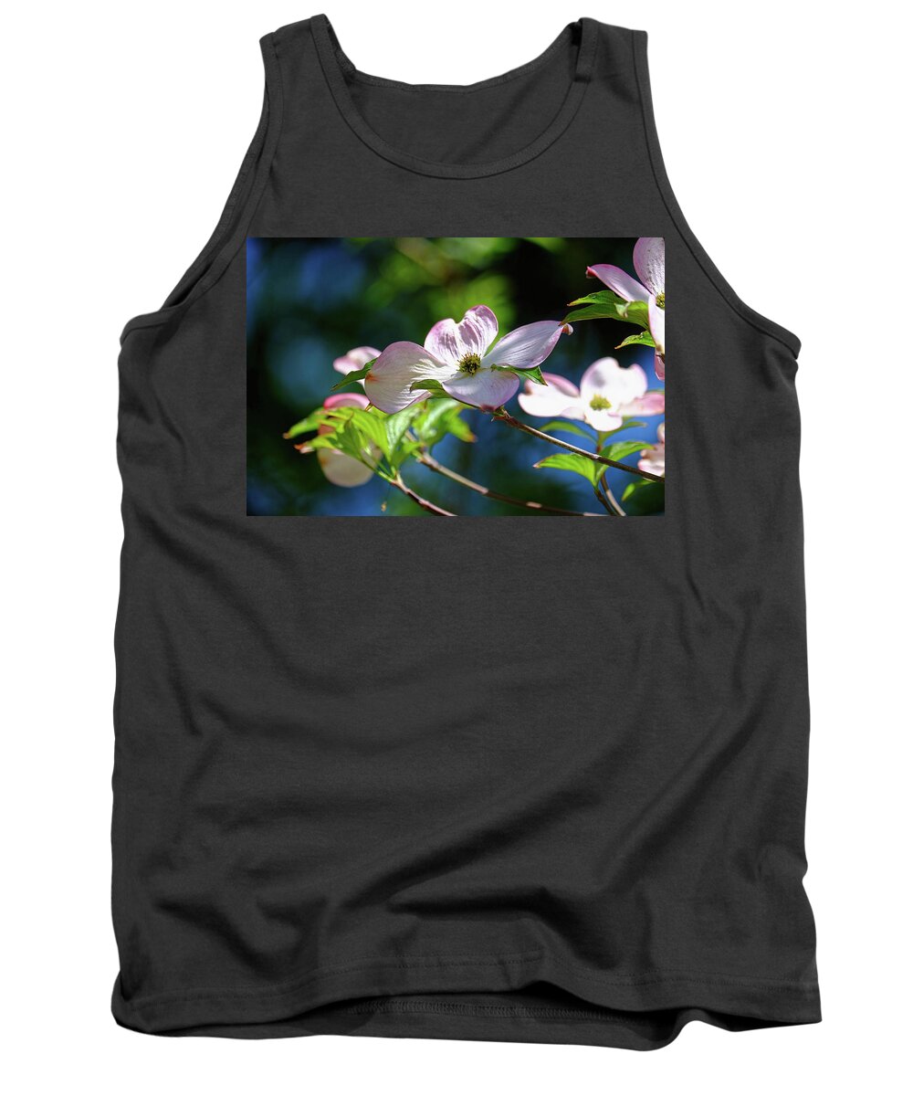 Dogwood Flowers Tank Top featuring the photograph Dogwood flowers by Ronda Ryan