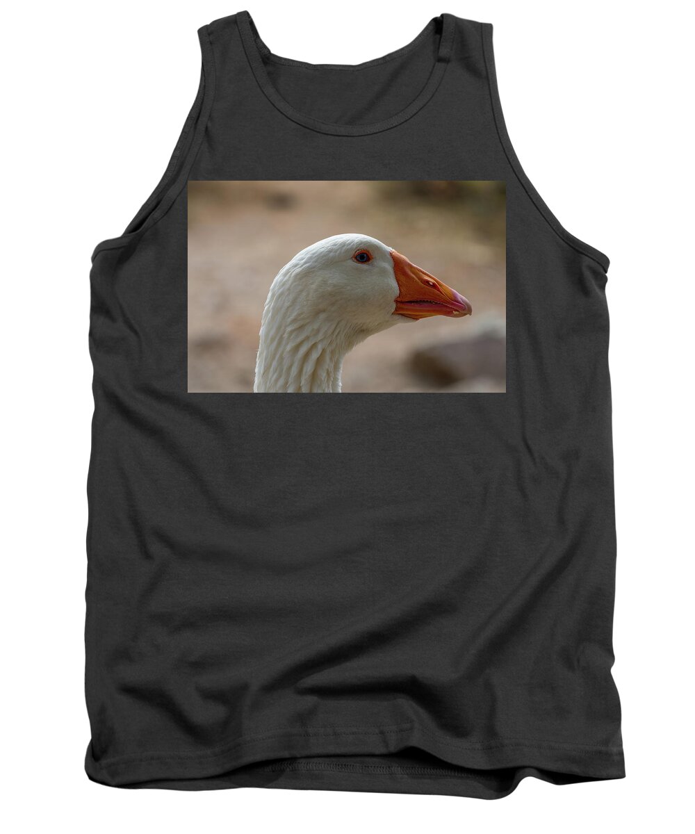 Bird Tank Top featuring the photograph Domestic Goose by Douglas Killourie