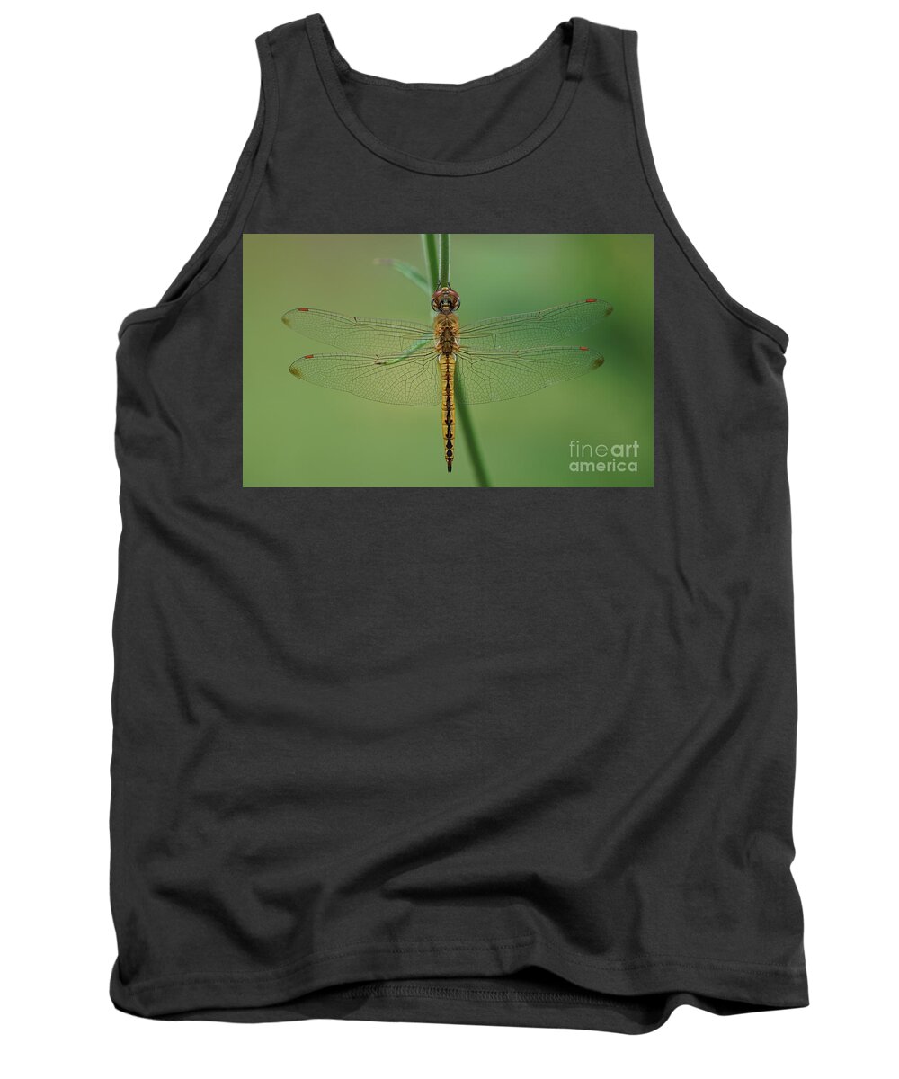 Dragonfly Tank Top featuring the photograph Dragonfly Gold by Robert E Alter Reflections of Infinity