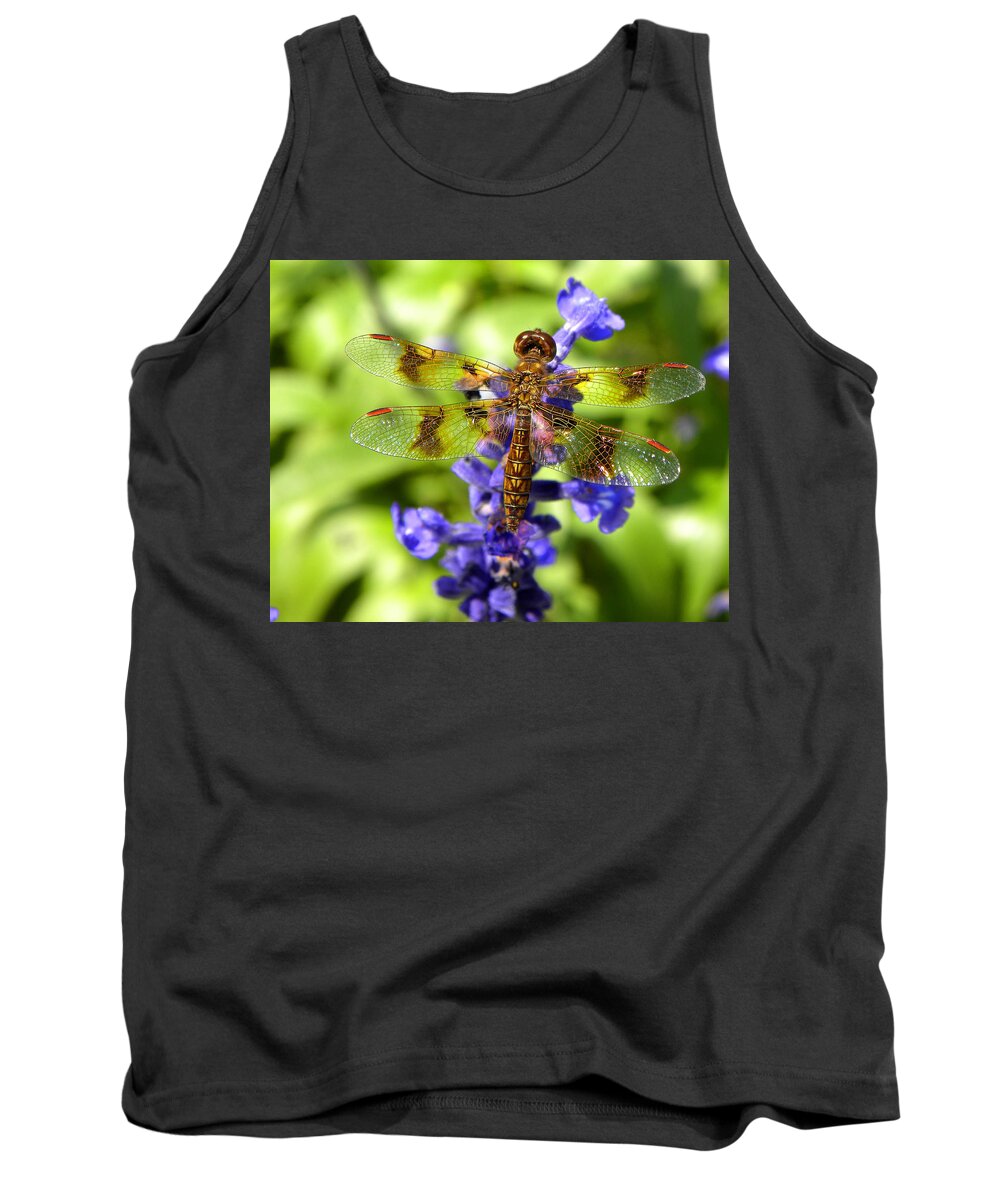Dragonfly Tank Top featuring the photograph Dragonfly by Sandi OReilly