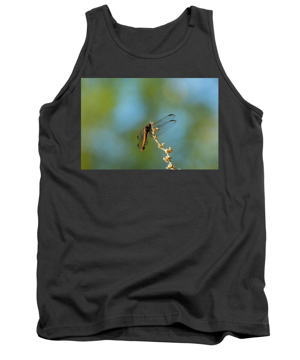 Dragonfly Tank Top featuring the photograph Dragonfly Wings by Douglas Killourie