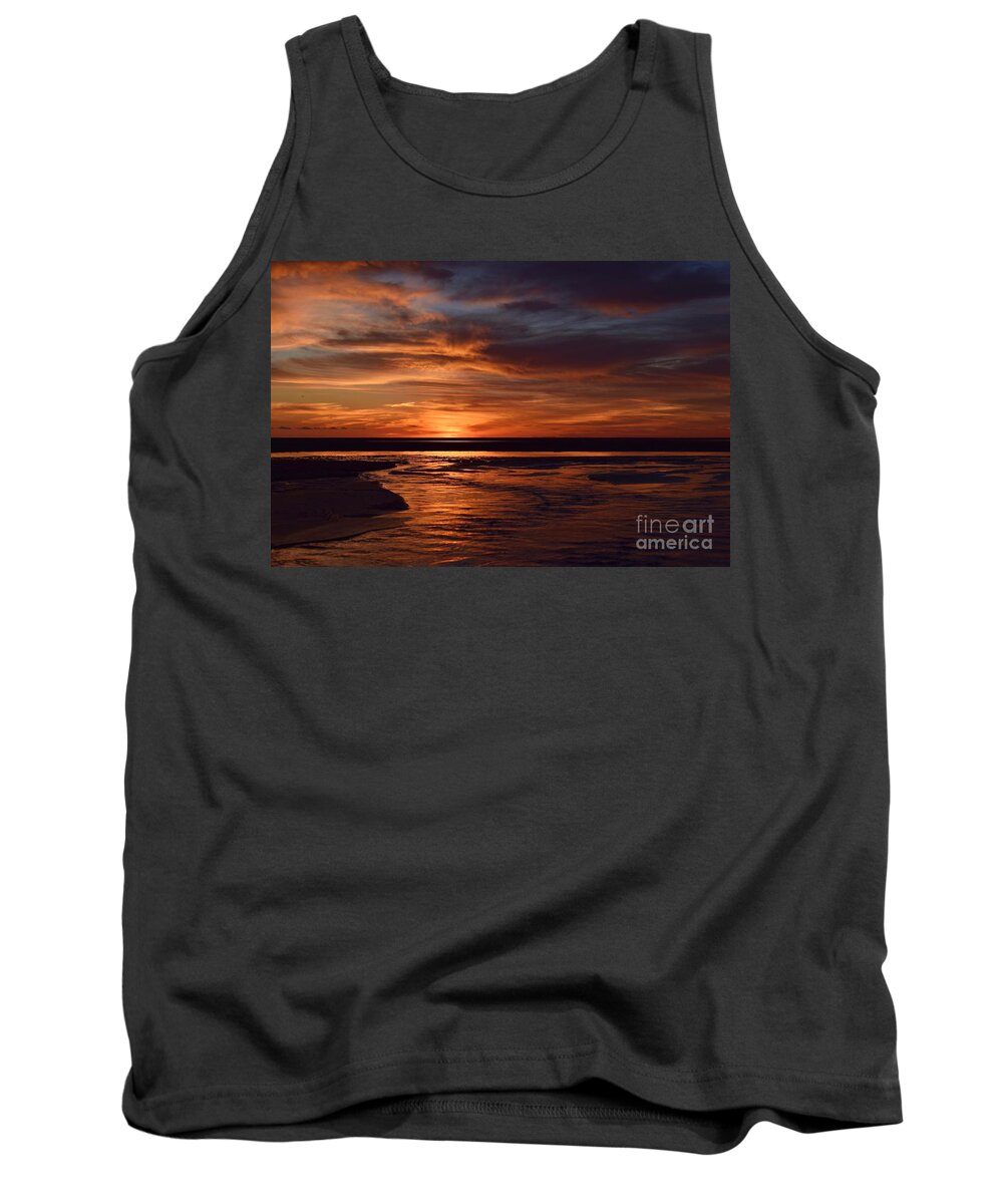 First Encounter Beach Tank Top featuring the photograph Dramatic Encounters Collection 07 by Debra Banks