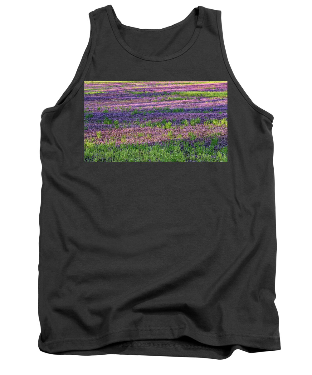 Spring Tank Top featuring the photograph Dreaming of France by Holly Ross