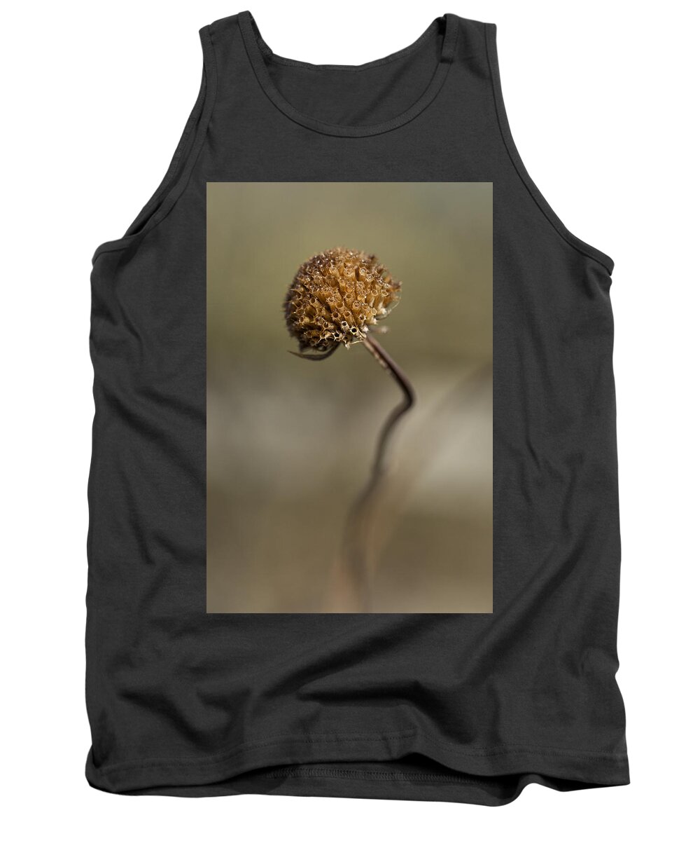 Flower Tank Top featuring the photograph Dried Flower Close-up by Denise Bush