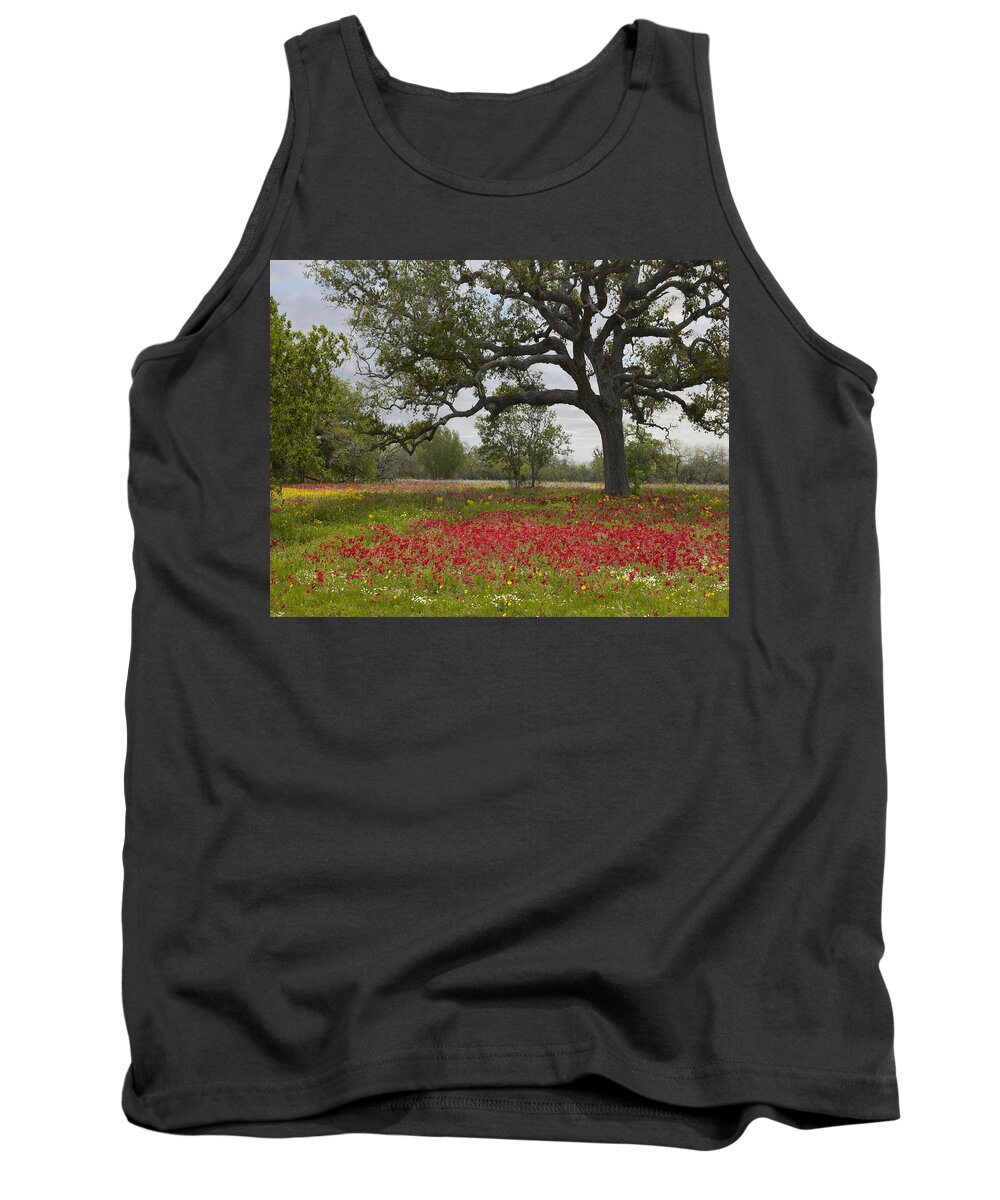 00442654 Tank Top featuring the photograph Drummonds Phlox Meadow Near Leming Texas by Tim Fitzharris