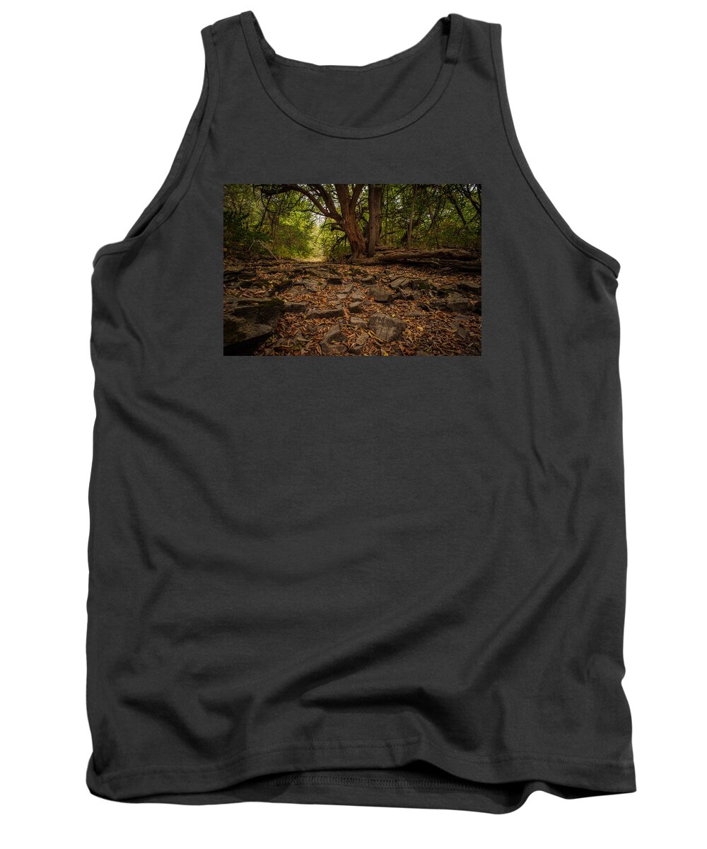 Landscape Tank Top featuring the photograph Dry Wash and Osage Orange by Jeff Phillippi
