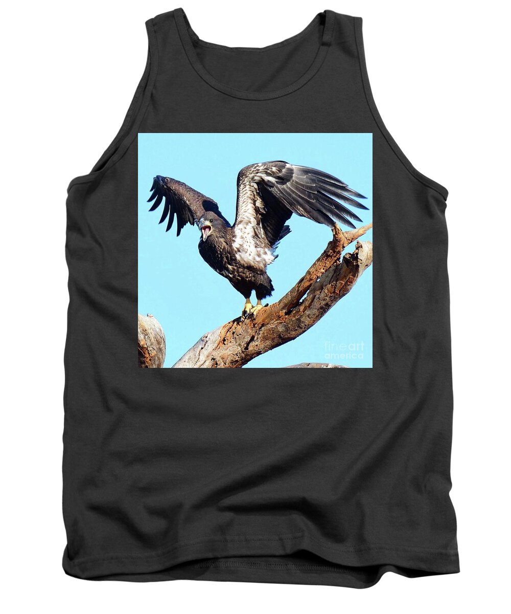 Bald Eagles Tank Top featuring the photograph E9 ready to take the world by Liz Grindstaff