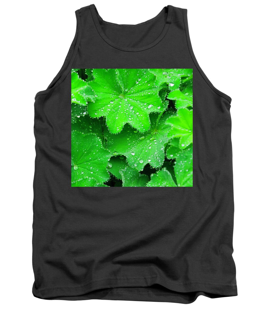 Dew Tank Top featuring the photograph Early Morning Dew at Inniswood by Roberta Kayne