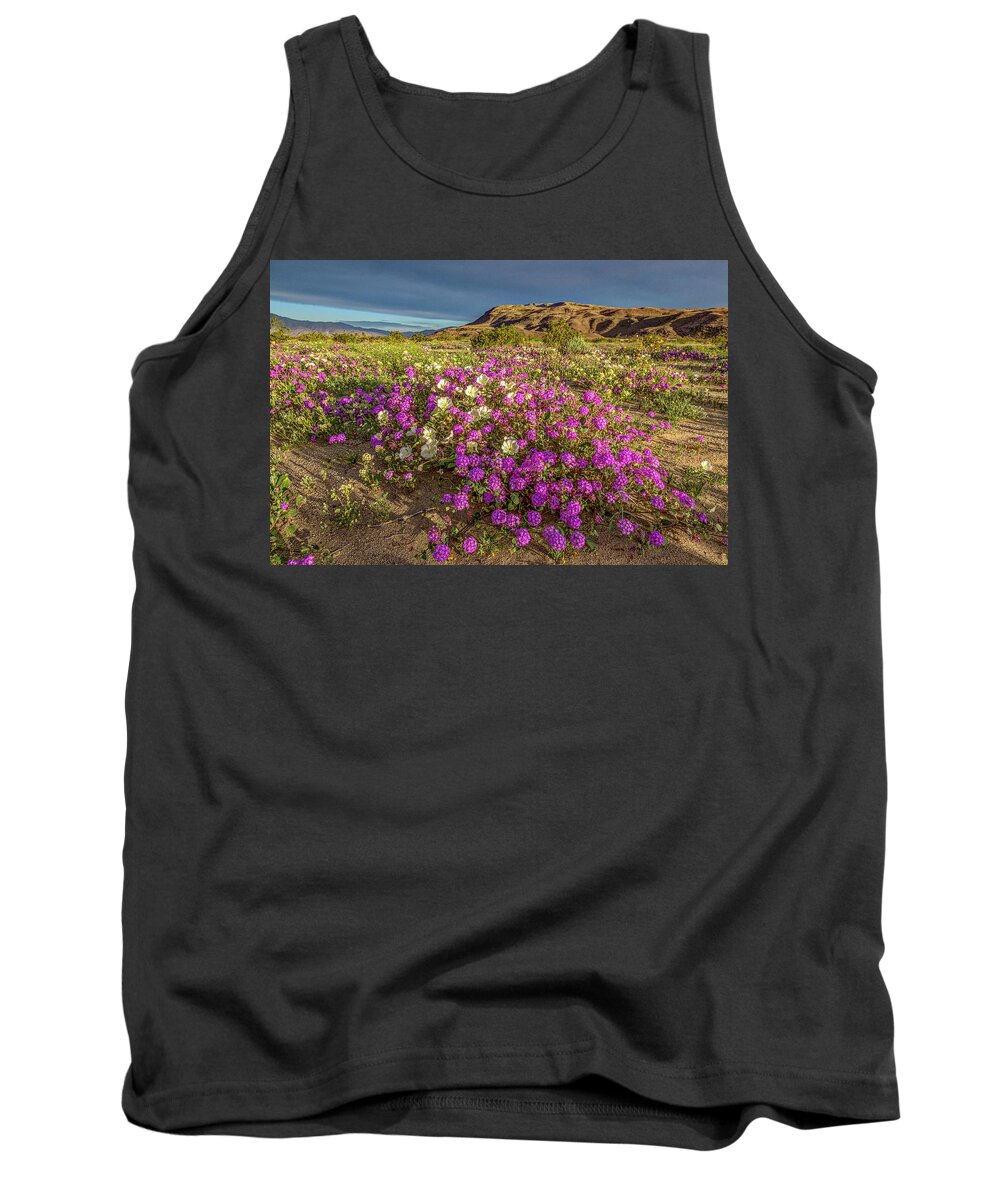 Anza-borrego Desert Tank Top featuring the photograph Early Morning Light Super Bloom by Peter Tellone