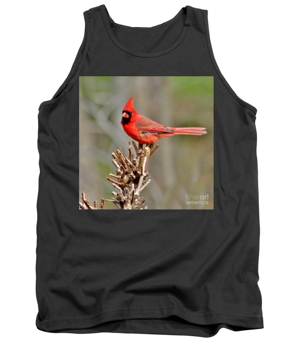 Bird Tank Top featuring the photograph Early Morning Visit by Barbara S Nickerson