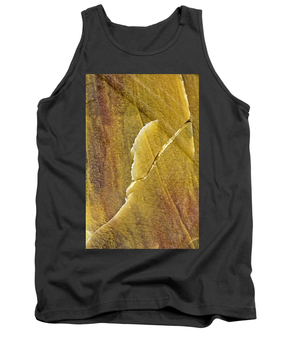 Macro Photography Tank Top featuring the photograph Earth Portrait 001-66 by David Waldrop