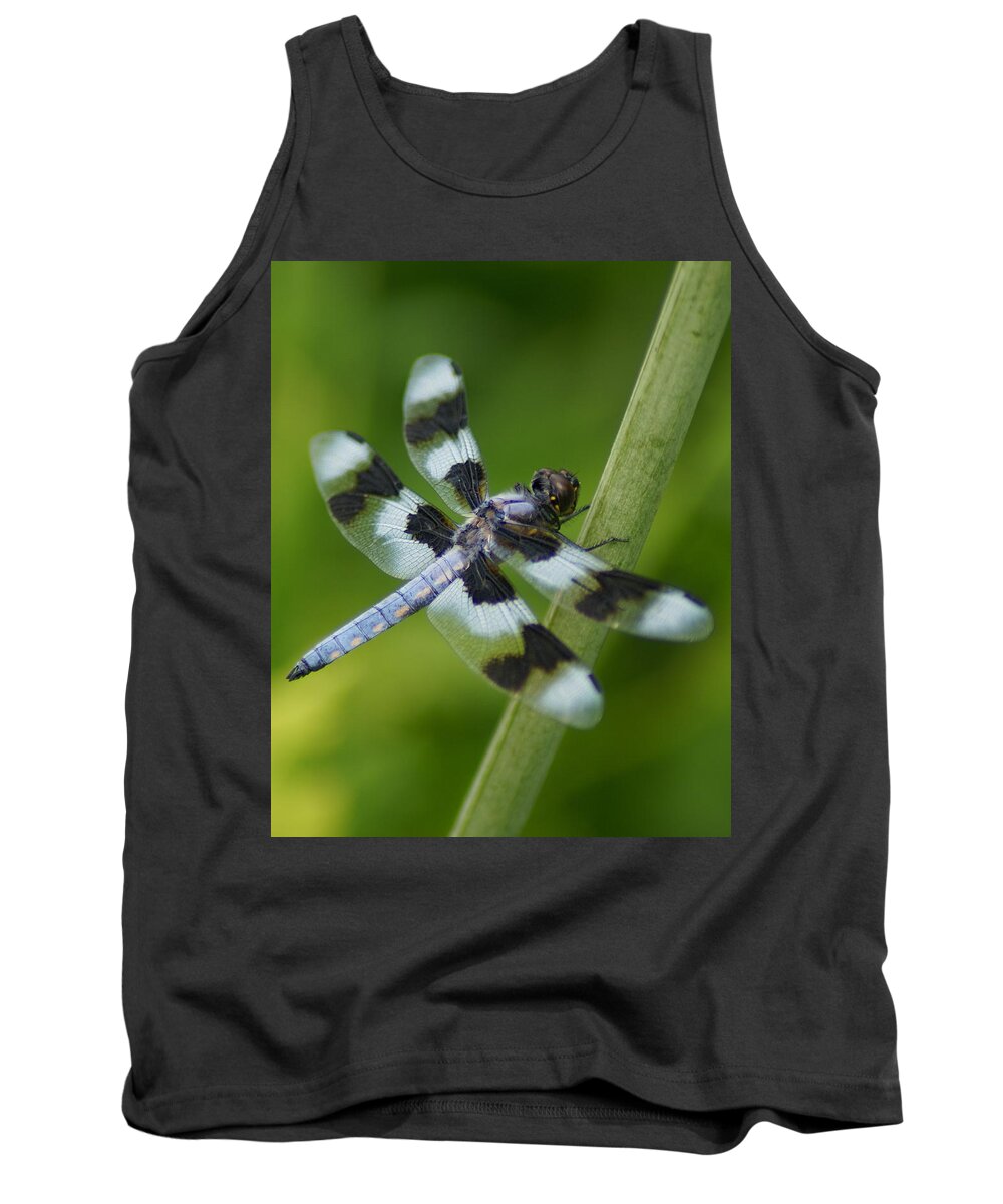 Dragonfly Tank Top featuring the photograph Eight Spotted Skimmer Dragonfly by Ben Upham III