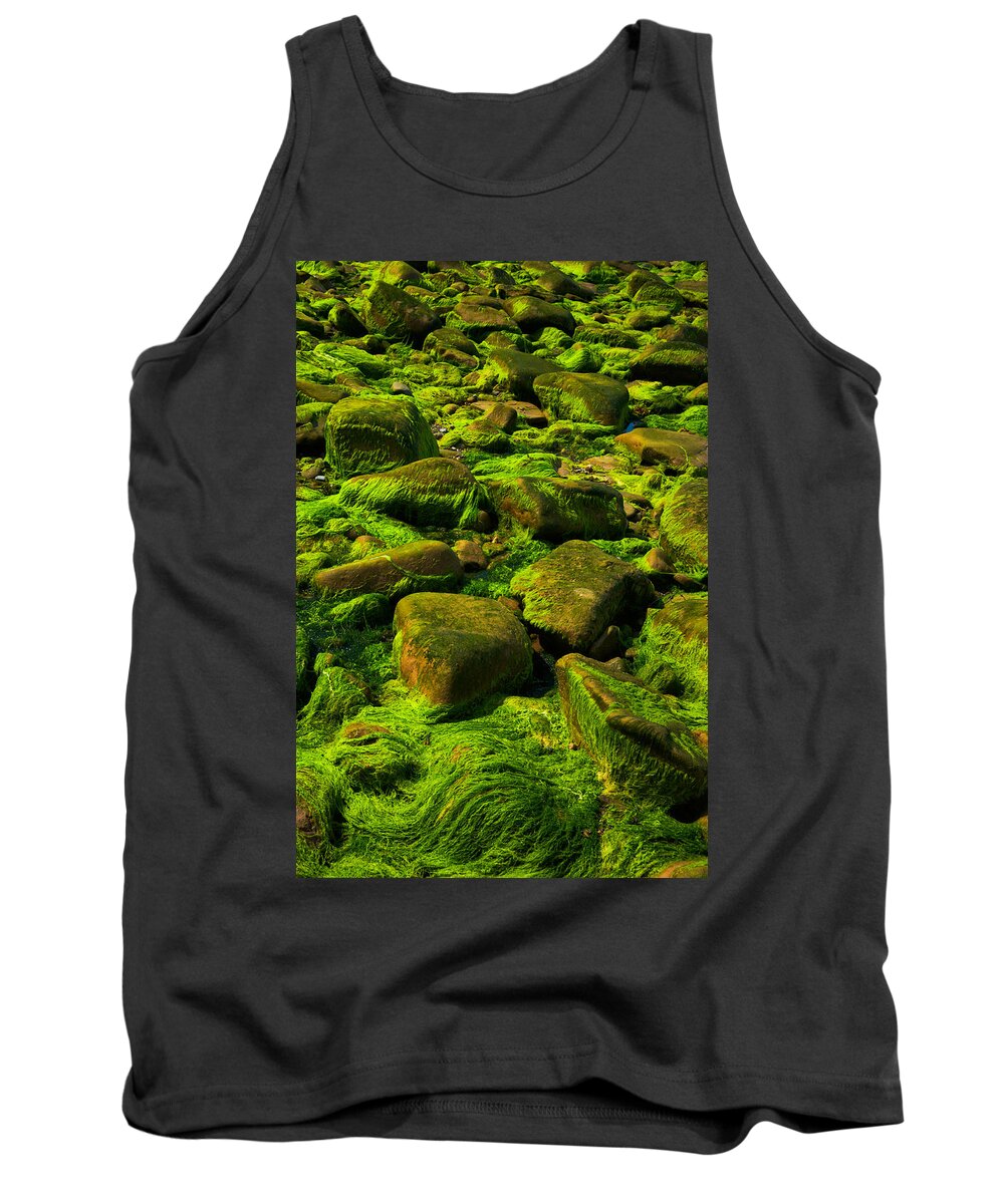 Raven Head Wilderness Tank Top featuring the photograph Electric Green by Irwin Barrett