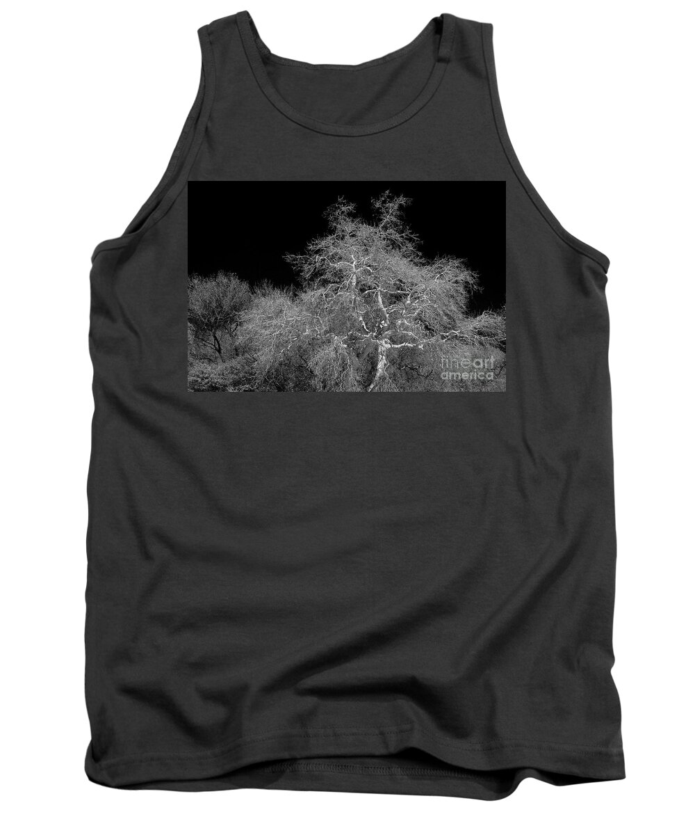 Photograph Tank Top featuring the photograph Element of Purity by Vicki Pelham