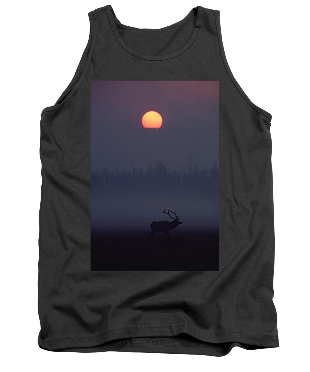 Mp Tank Top featuring the photograph Elk Cervus Elaphus Silhouetted And Sun by Michael Quinton