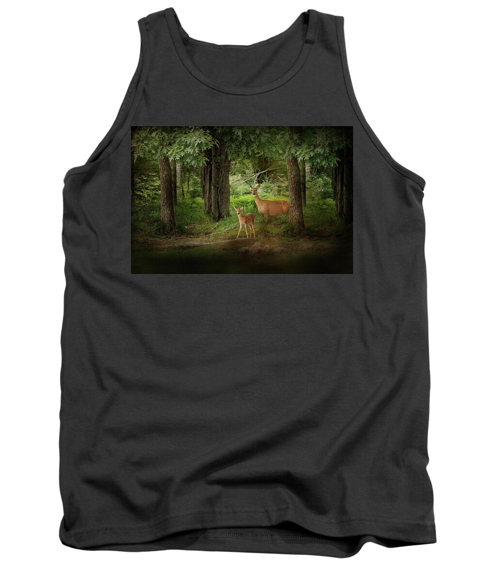 Deer Print Tank Top featuring the photograph Enchanted Forest Deer Print by Gwen Gibson