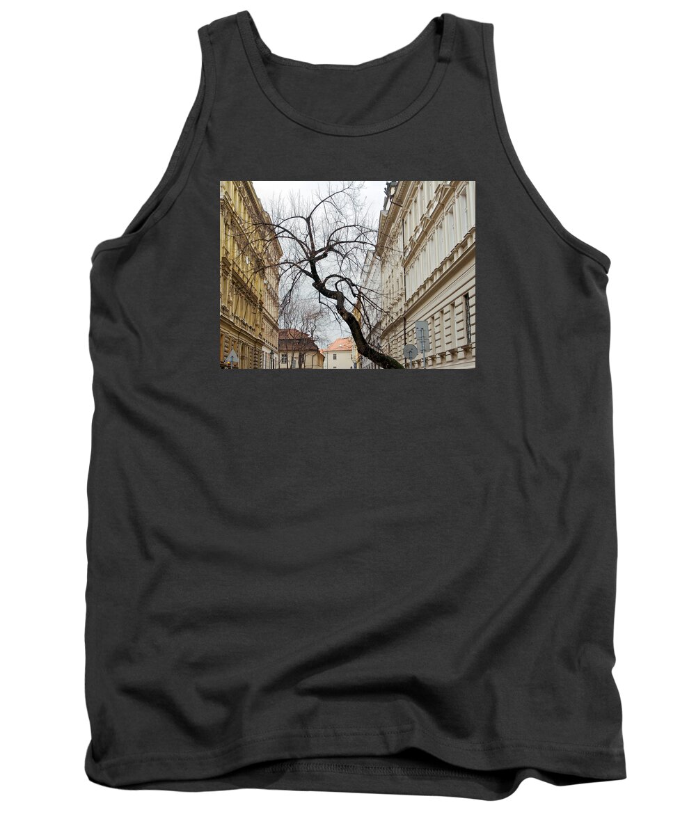 Lawrence Tank Top featuring the photograph Enveloped by Lawrence Boothby