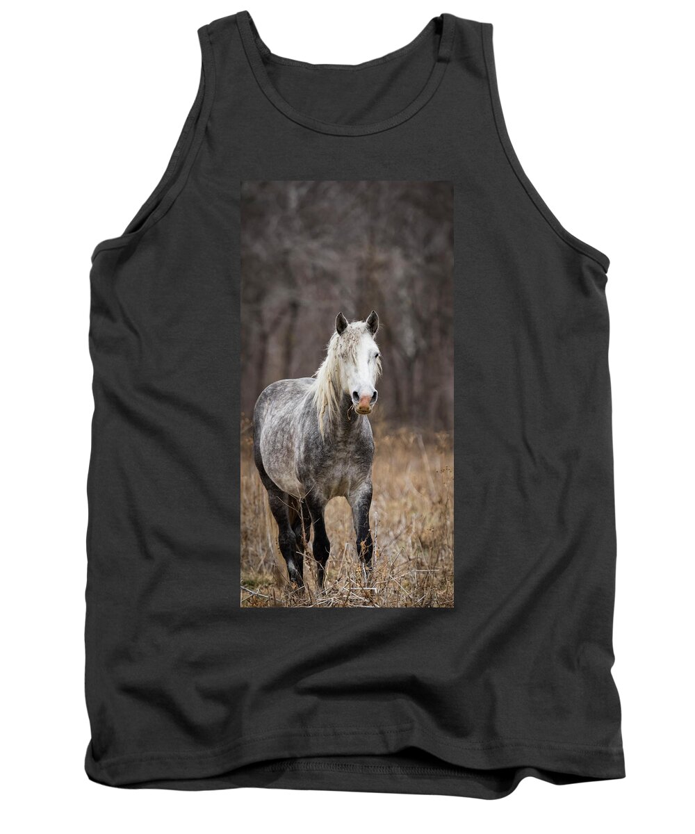 Horse Tank Top featuring the photograph Escape by Holly Ross