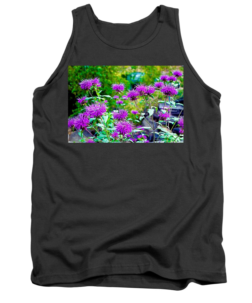 Tall Grasses Tank Top featuring the photograph Estes Park Fall Study 2 by Robert Meyers-Lussier