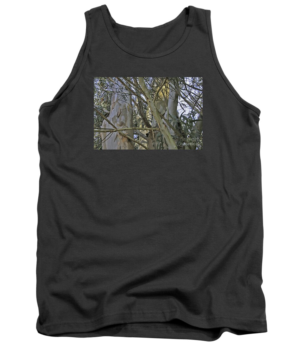 Trees Tank Top featuring the photograph Eucalyptus Study by Joyce Creswell