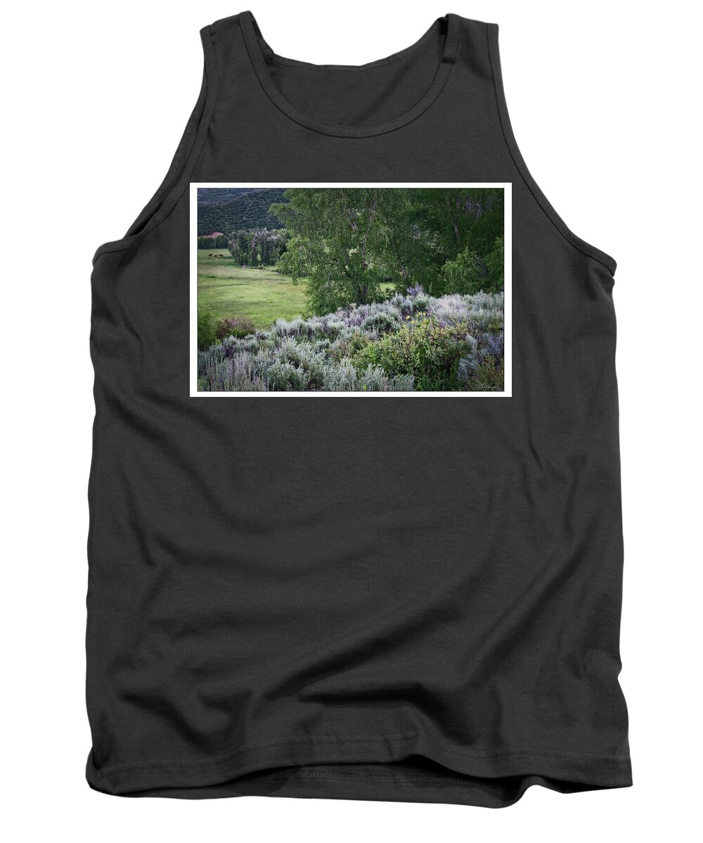 Wyoming Tank Top featuring the photograph Evening Settles In Wyoming by Peggy Dietz