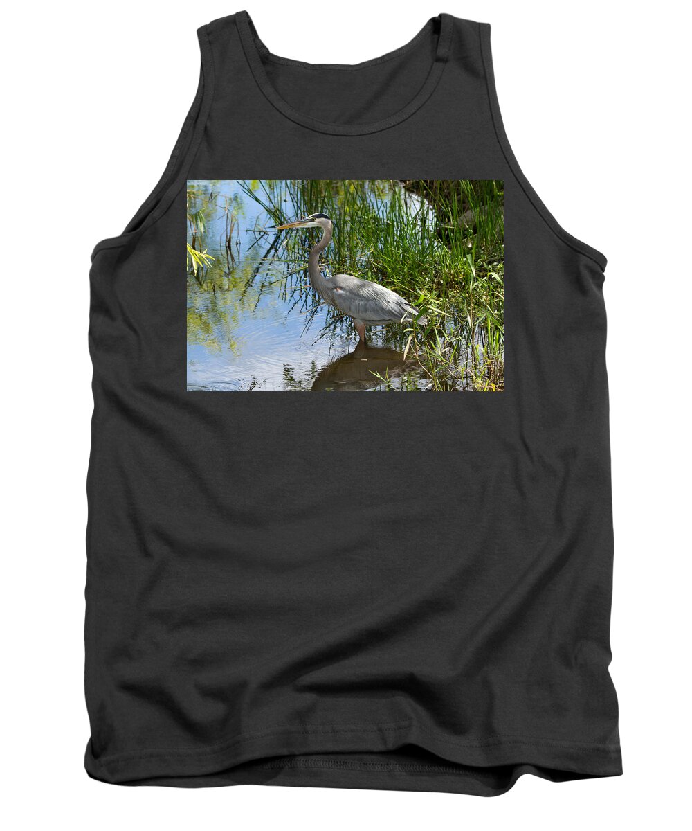 Everglades National Park Tank Top featuring the photograph Everglades 572 by Michael Fryd