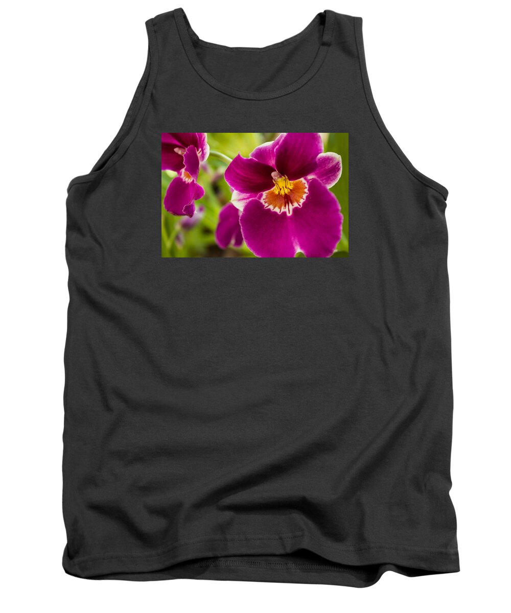 Flowers Tank Top featuring the photograph Exotic flowers by Lucio Souza Souza