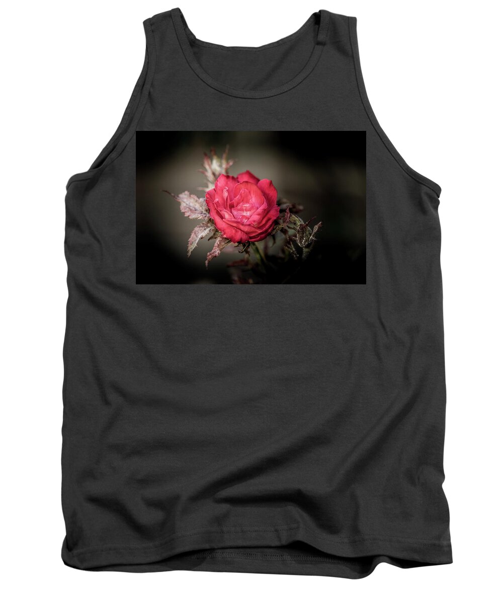 Rose Tank Top featuring the photograph Fading Beauty by Allin Sorenson