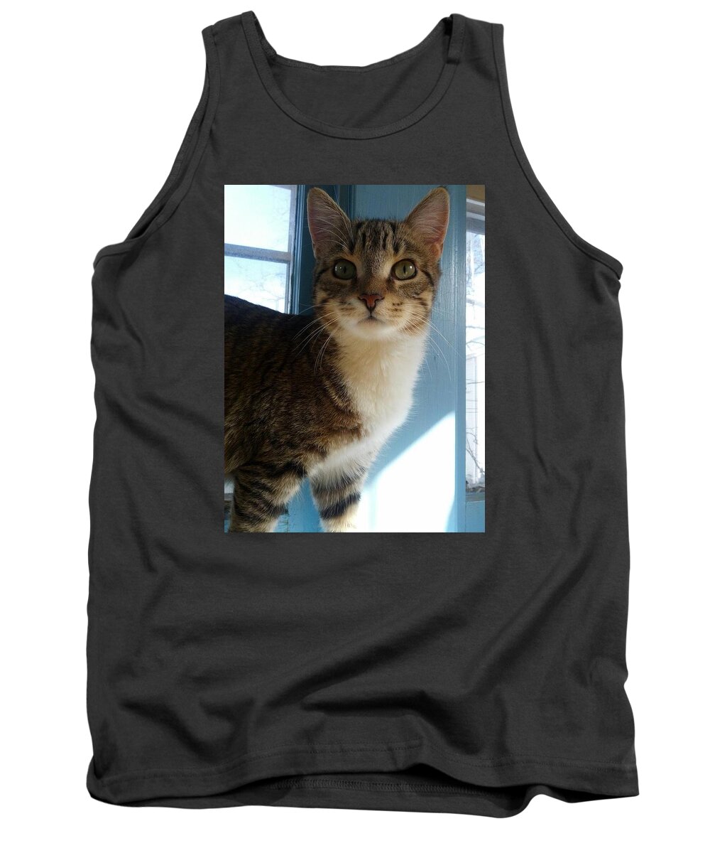 Cat Tank Top featuring the photograph Falcore by Lizze Cole