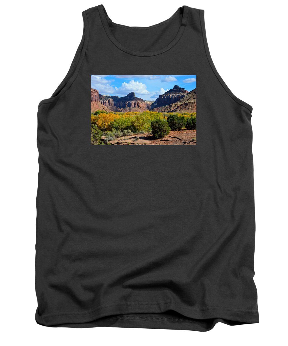 Indian Tank Top featuring the photograph Fall at Indian Creek by Tranquil Light Photography