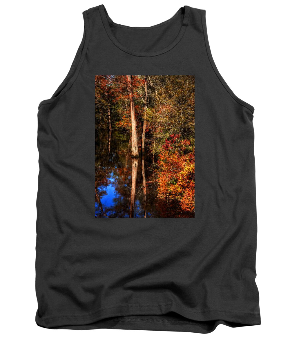 Fall Tank Top featuring the photograph Fall Colors by Ester McGuire