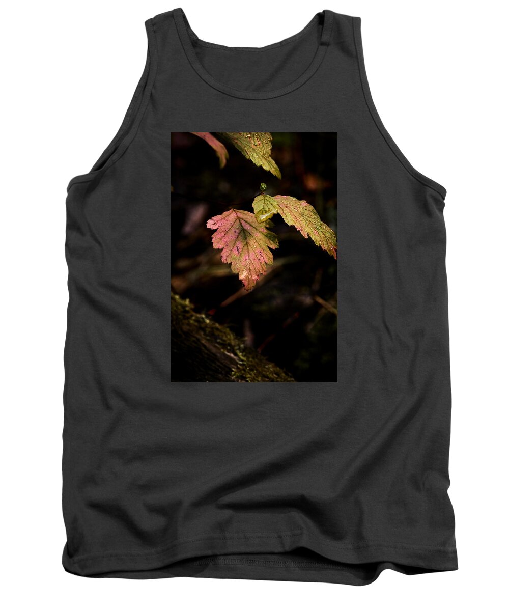 Leaves Tank Top featuring the photograph Fall Colors by Loni Collins