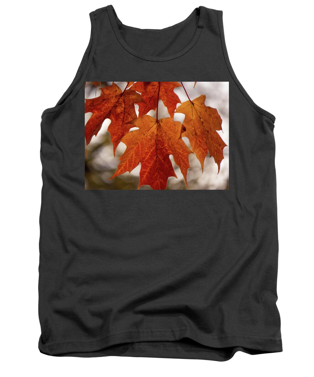  Tank Top featuring the photograph Fall Foliage by Kimberly Mackowski