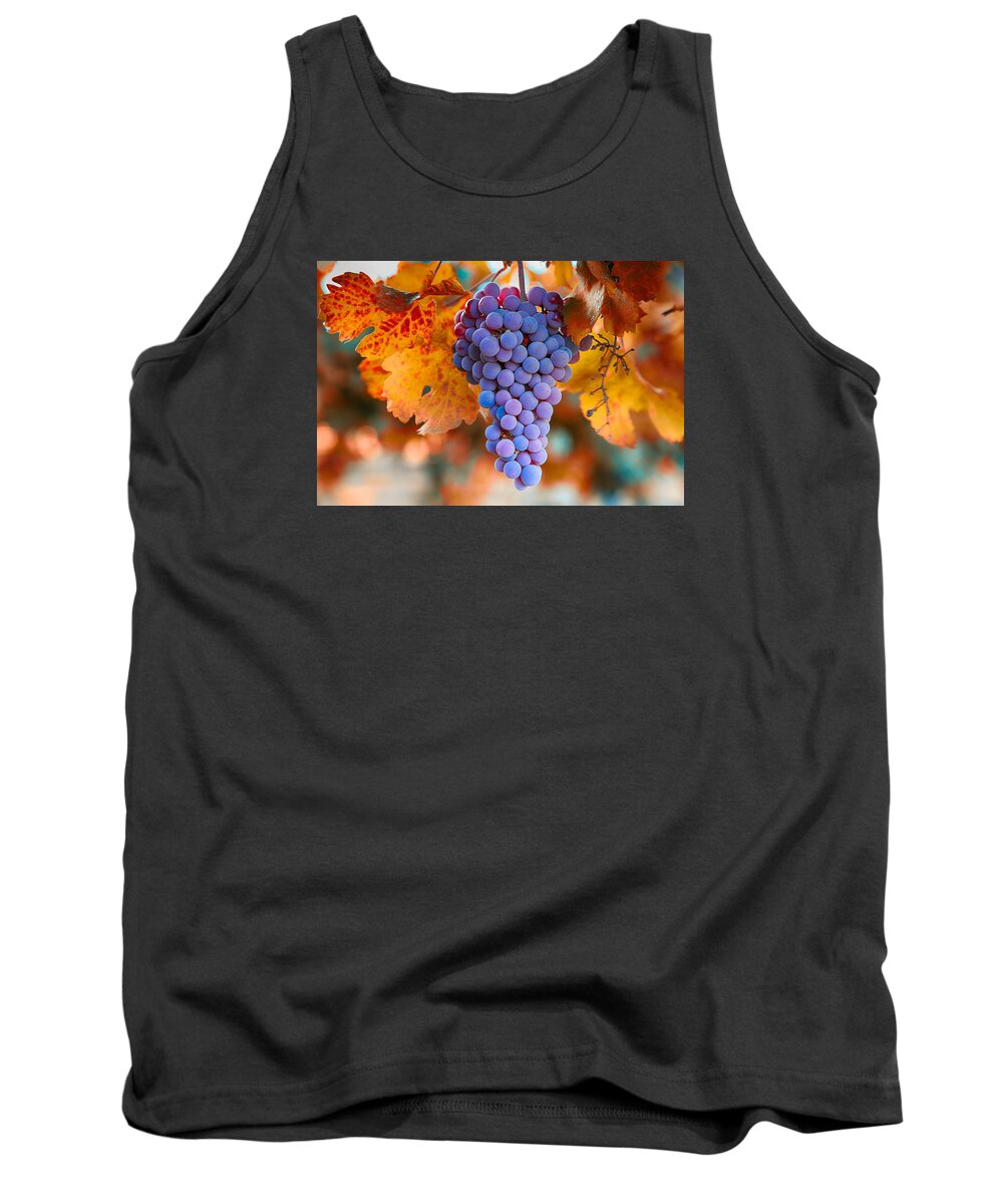 Fall Grapes From The Yakima Valley Tank Top featuring the photograph Fall grapes from the Yakima Valley, by Lynn Hopwood