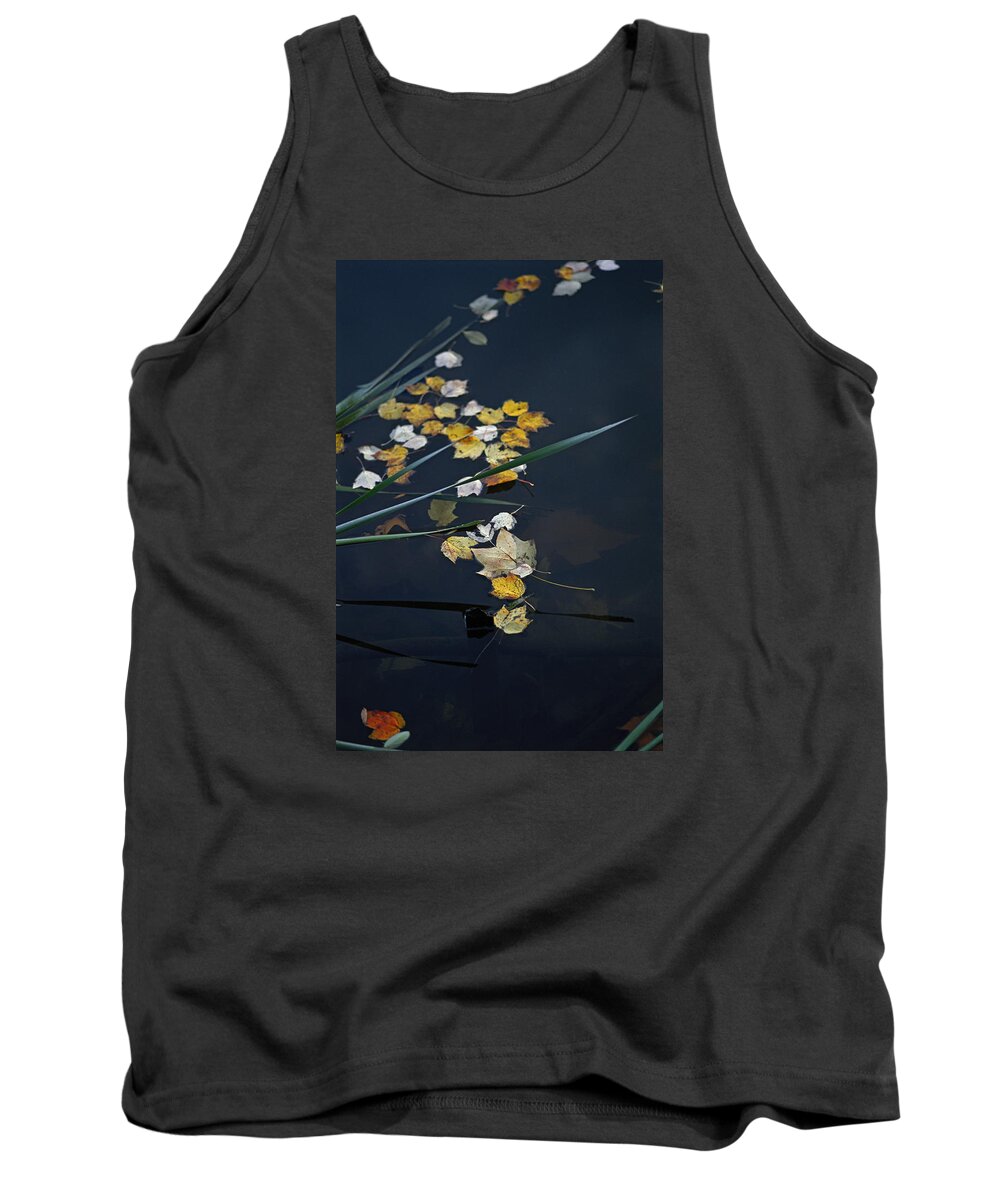 Day Tank Top featuring the photograph Fall Serenity by Brian Green