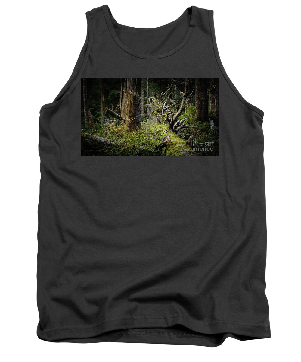 Forest Tank Top featuring the photograph Fallen but not dead by Agnes Caruso