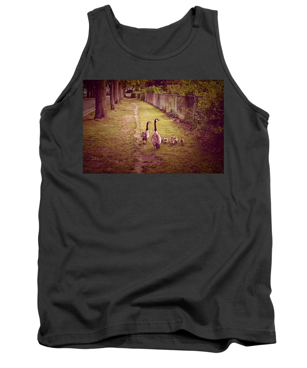 Buttonwood Park Tank Top featuring the photograph Family Walk by Kate Arsenault 