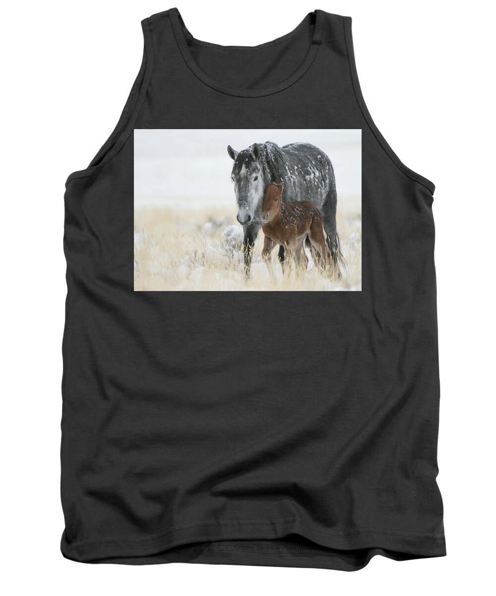 Horse Tank Top featuring the photograph February Colt by Kent Keller