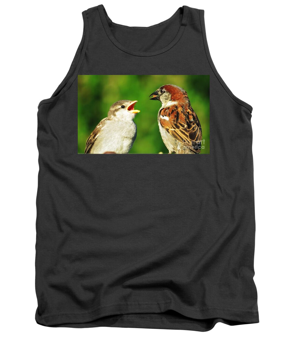 Sparrows Tank Top featuring the photograph Feeding Baby Sparrows 2 by Judy Via-Wolff