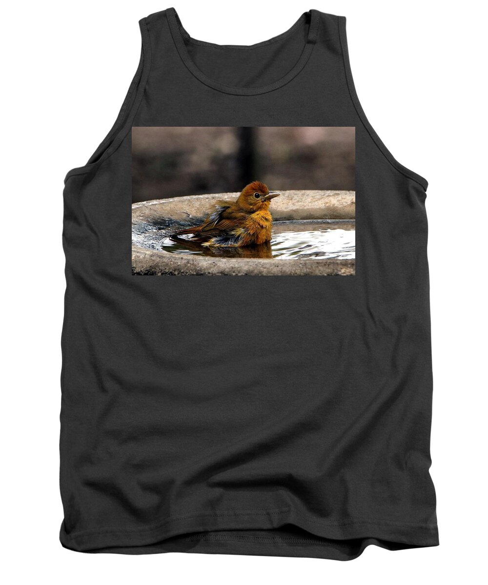 Nature Tank Top featuring the photograph Female Summer Tanager in Bird Bath by Sheila Brown
