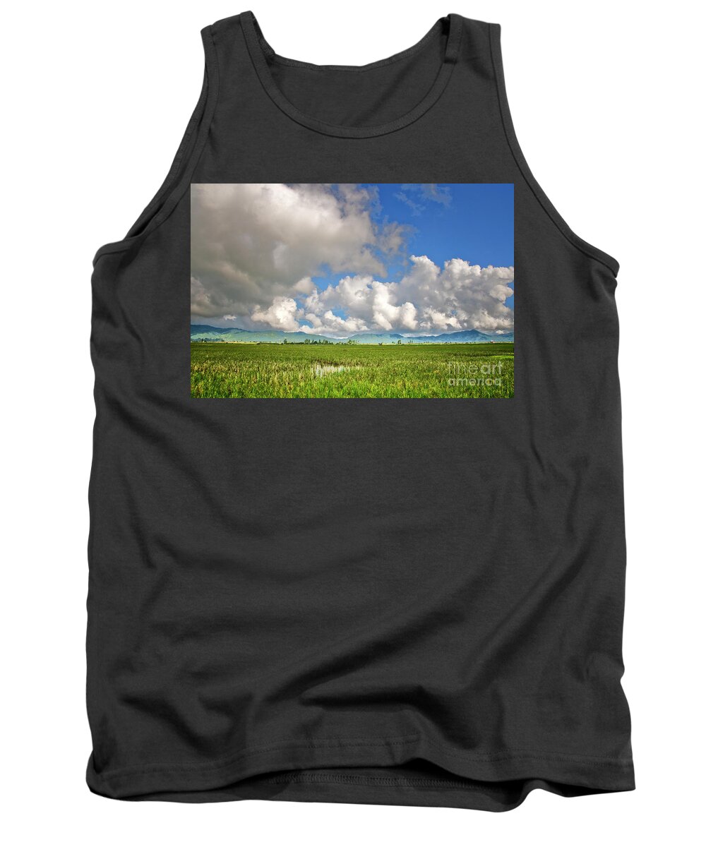 Landscape Tank Top featuring the photograph Field by Charuhas Images