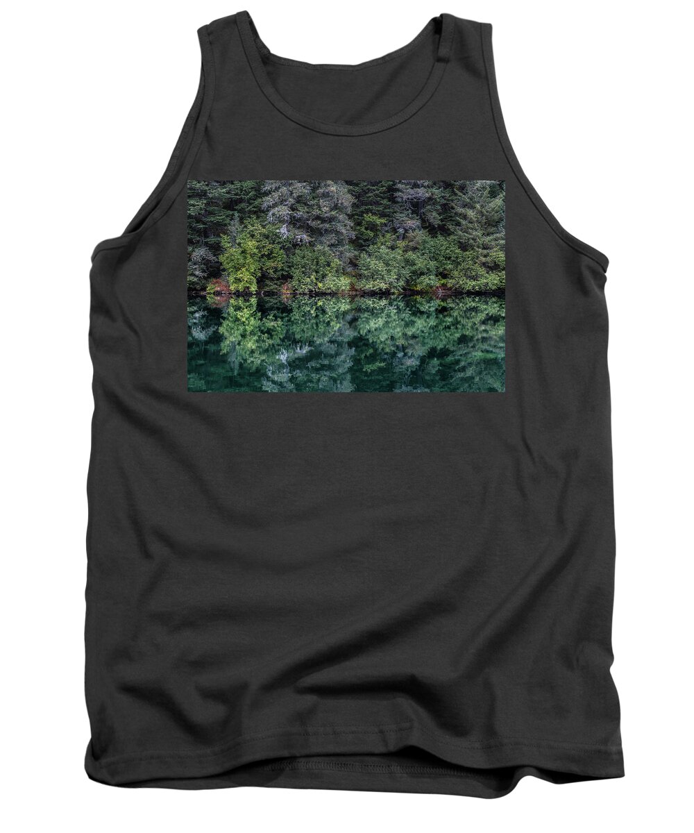 Forest Tank Top featuring the photograph Find Your Center by Scott Slone
